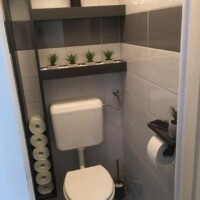luxury toilet seat